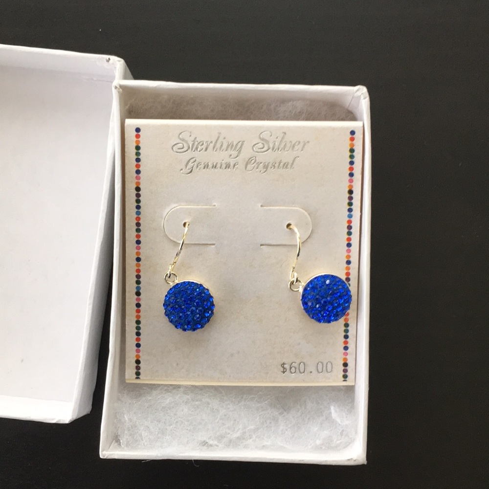 NWT blue dangle earring